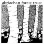 Abriachan Forest
